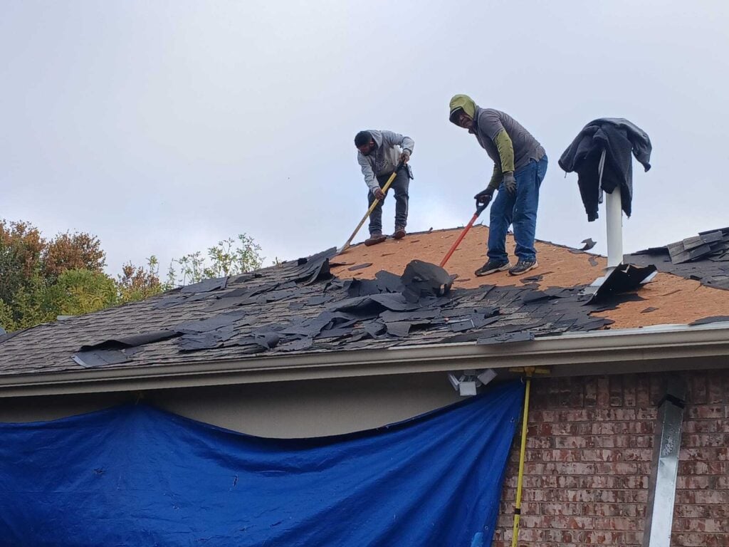 Two roofers are actively tearing off old asphalt shingles from a residential roof, with the plywood decking visible underneath. A blue tarp is draped over the side of the house below the roofline.